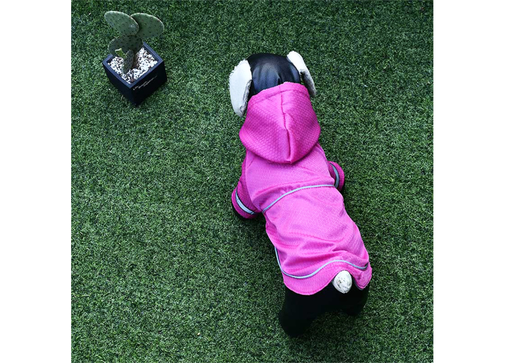 How to choose the right raincoat for pet dogs